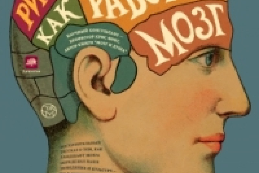 Как работает мозг читать онлайн бесплатно. КНИГА Рита Картер в ...