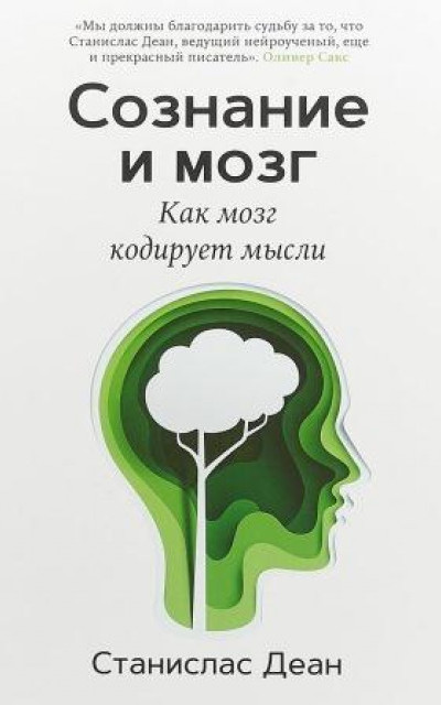 Сознание и мозг. Как мозг кодирует мысли читать онлайн