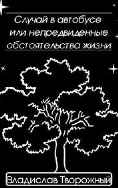 Случай в автобусе, или Непредвиденные обстоятельства жизни читать онлайн